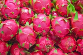 Dragon Fruit White 